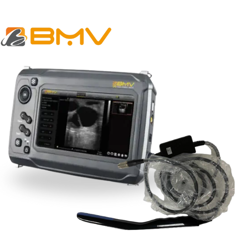 Ecografo portatil Bestscan® S6 Transductor Rectal Lineal Baston Ovino