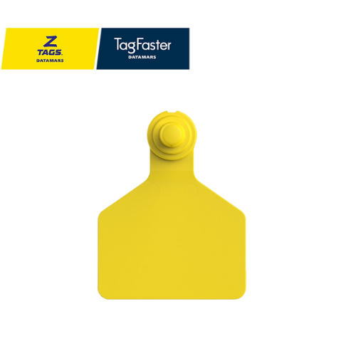 Arete Grande amarillo ztags