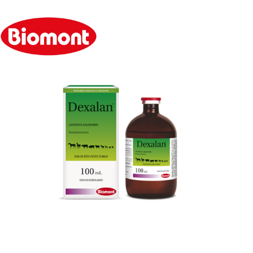 Dexalan x 100 ml
