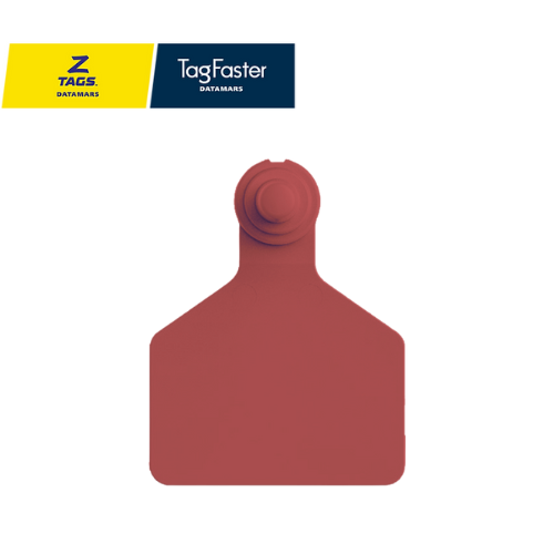 Arete Grande rojo ztags