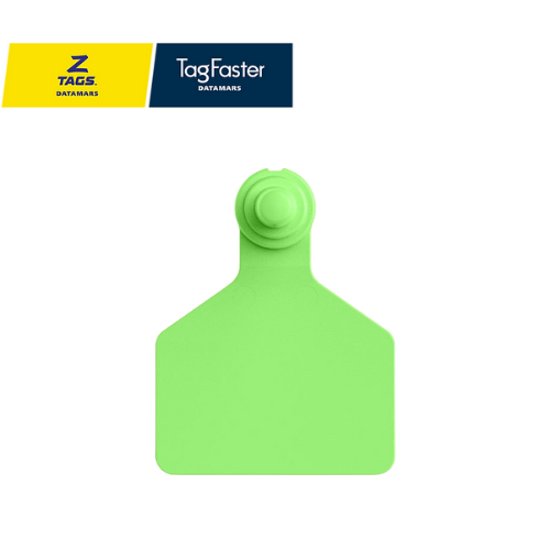 Arete Grande verde