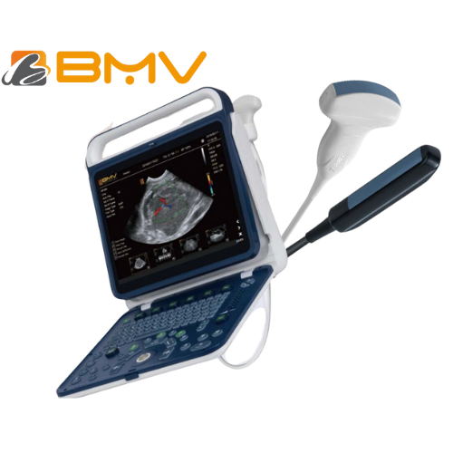 Ecografo Veterinario Doppler BPU60 rect lineal y convexo