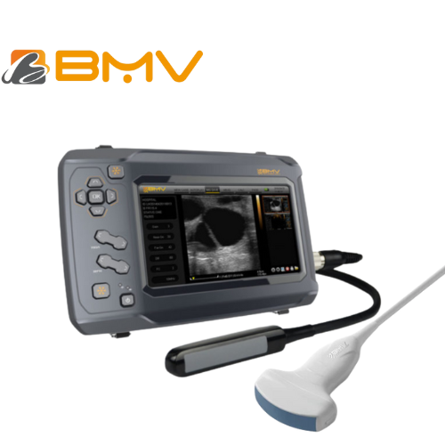 Ecografo portatil Bestscan® S6 Transductor Rectal Lineal y convexo