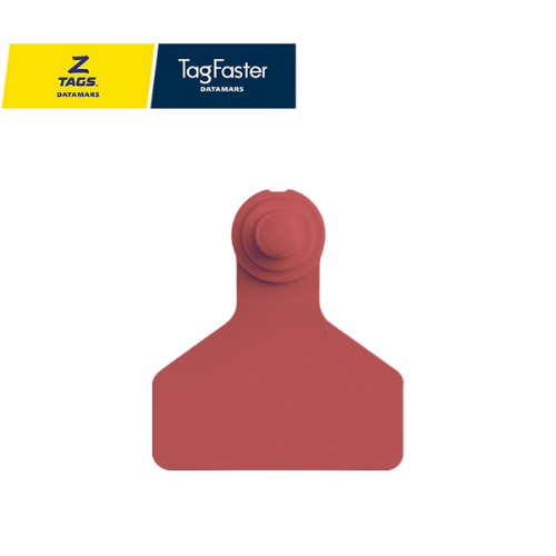 Arete Small rojo
